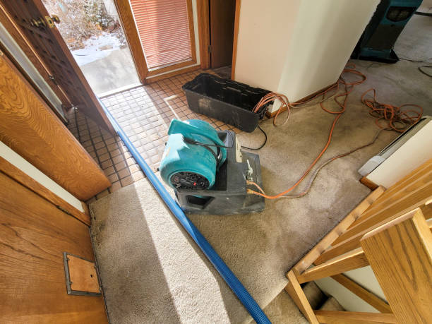 Best Local water damage restoration  in Van Vleck, TX