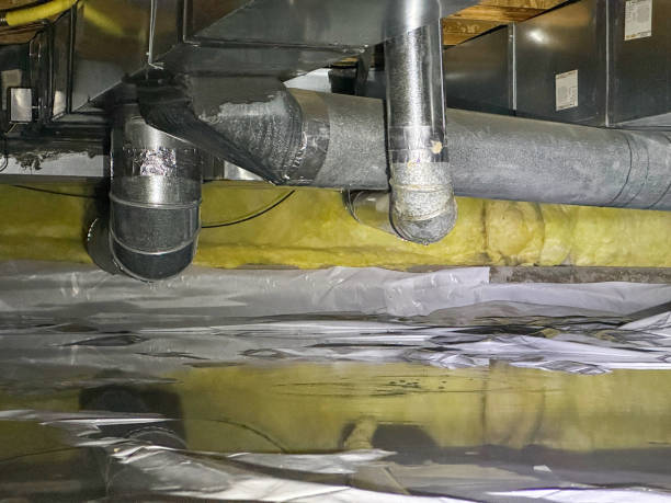 Best Basement water damage restoration  in Van Vleck, TX